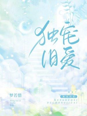 独宠旧爱陆少的秘密恋人书评