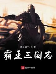 霸王三国志武将登场表