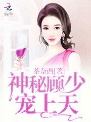 神秘顾少掌中宝