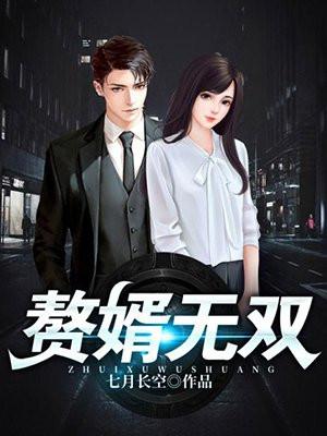 赘婿无双免费阅读