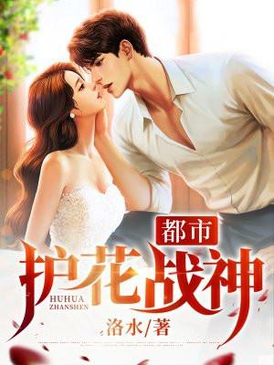 都市护花高手