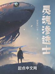 灵魂穿透是什么意思