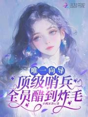 向导哨兵言情文