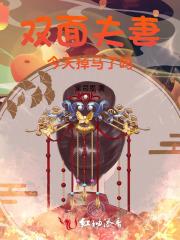 双面丈夫金牌调解上集