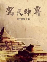 鸿天神尊天下