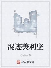 混在美利坚的日子