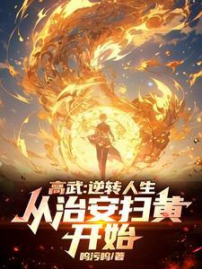 从治安扫黄开始第222章