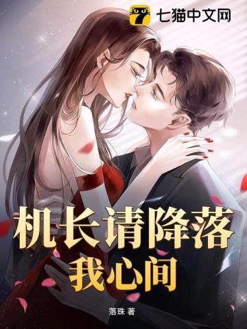 机长大人请降落