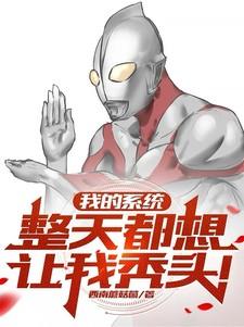 我的系统整天都想让我秃头txt