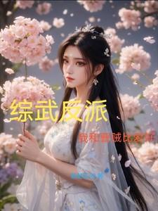 综武反派我和曹贼比爱好百度