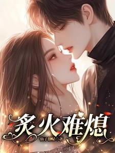 炙火难熄by松子茶讲的什么