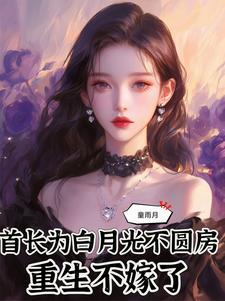 重生不嫁了有声