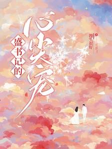 盛书记的心尖宠全文免费阅读