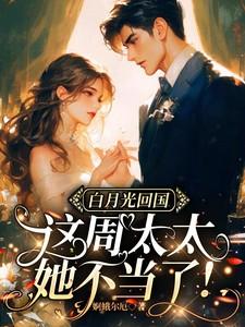 白月光回国这周太太她不当了txt