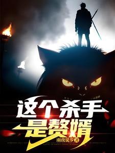 这个杀手是赘婿演员表