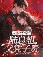 陆夫人她只想离婚全文阅读