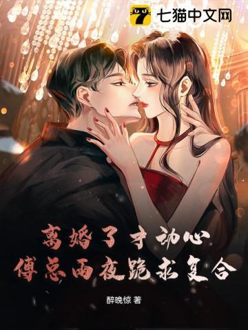 傅爷夫人离婚后