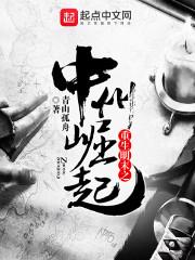 神级狂婿主人翁林凡