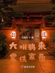 大明鹤来堂佚案录起点