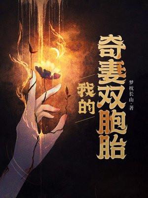 我的老婆是双胞胎免费阅读