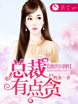 盛世闪婚总裁有点贪全文阅读