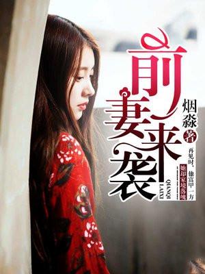 前妻来袭电视剧