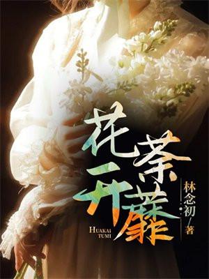 花开荼蘼by银月当空txt