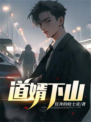 道爷赘婿 道爷赘婿