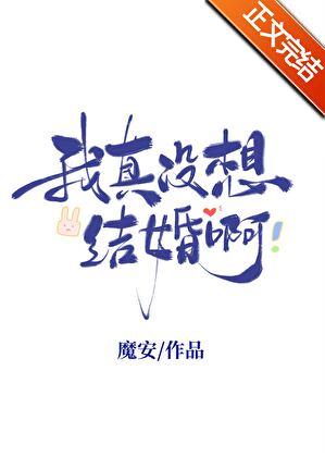 我真没想结婚啊全文免费阅读