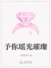 予你瑶光璀璨