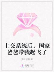 上交系统后，国家爸爸带我起飞了