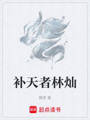 补天者林灿